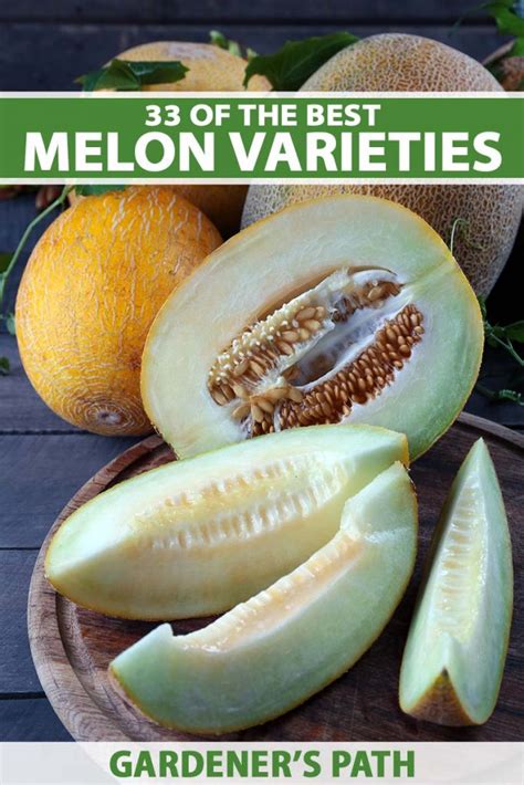 33 of the Best Melon Varieties